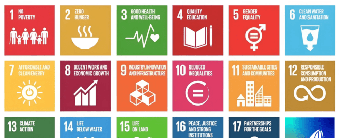 United Nations SDG GoodWhale