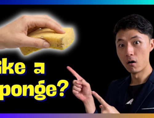 Money Habit Formation: Why Money Habits Are Absorbed, Not Chosen